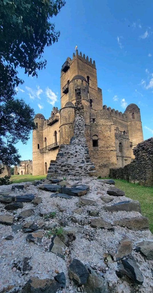 1729064679171 1 Limalimo Ethiopia Tours Authentic Ethiopian Tours, Culture & Adventure