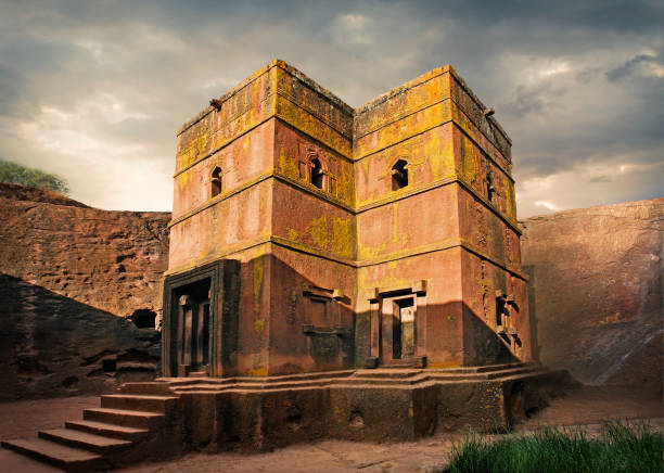Adimasu Travel and Tours Discover Ethiopia 207 Limalimo Ethiopia Tours Authentic Ethiopian Tours, Culture & Adventure