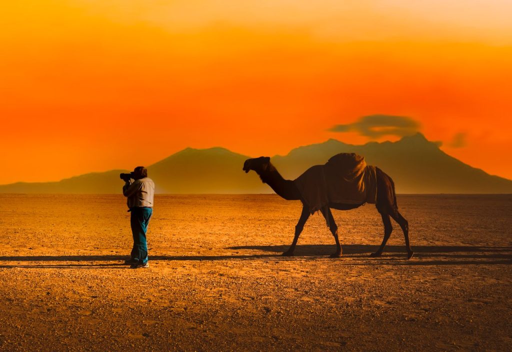 pexels quintingellar 6540845 Limalimo Ethiopia Tours Authentic Ethiopian Tours, Culture & Adventure