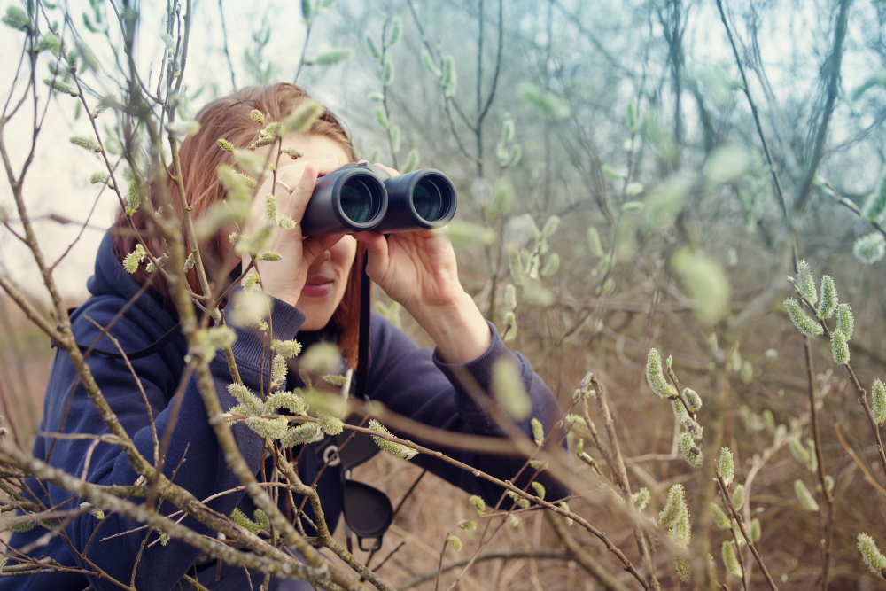 Birdwatching Limalimo Ethiopia Tours Authentic Ethiopian Tours, Culture & Adventure