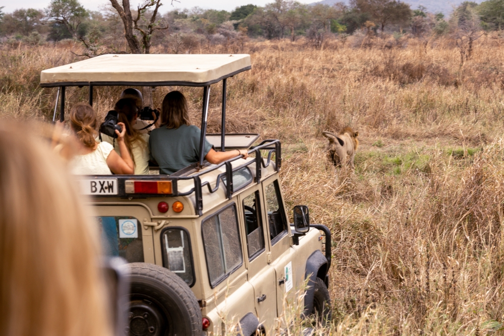 Game Drive Limalimo Ethiopia Tours Authentic Ethiopian Tours, Culture & Adventure