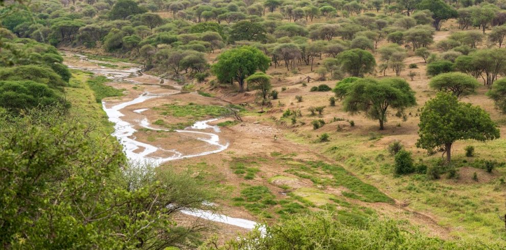 pexels chris clark 1933184 16064253 Limalimo Ethiopia Tours Authentic Ethiopian Tours, Culture & Adventure